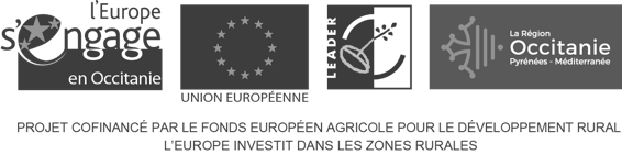 Logo du fonds européen agricole pour le développement rural (FEADER)